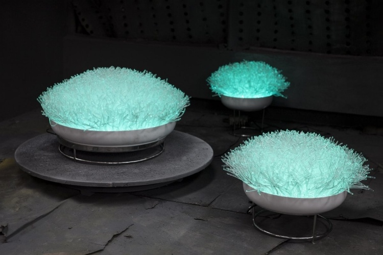 Anemone Collection lighting