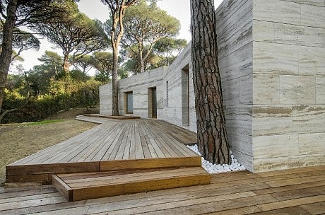 Pinewood of Marina by Massimo Fiorido Associati - 3