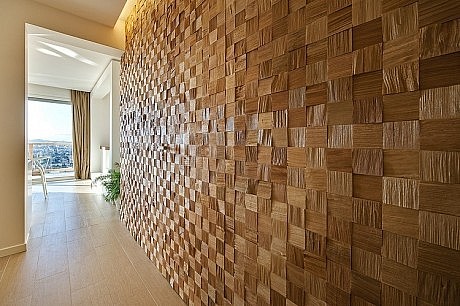 Annecy House by Rémi Giffon