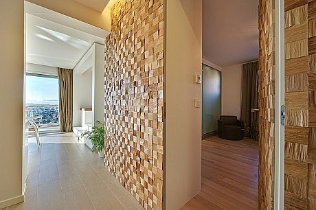 Annecy House by Rémi Giffon