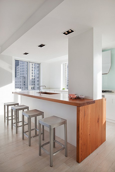 Madison Square Apartment by David Bucovy Architect