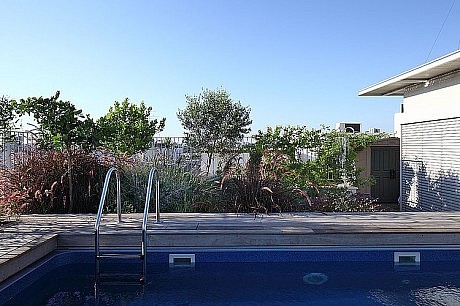 Rooftop Apartment by Amitzi Architects