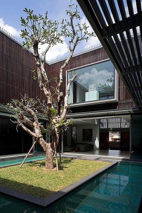 Centennial Tree House by Wallflower Architecture + Design