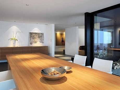 Alpine House by Ralph Germann Architectes