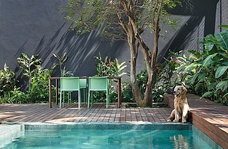 DM House by Studio Guilherme Torres
