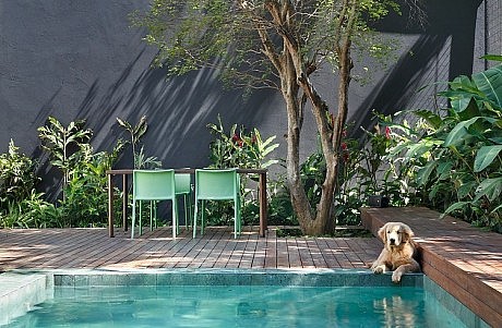 DM House by Studio Guilherme Torres