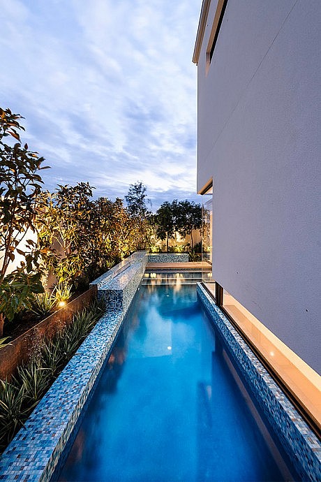 Medallion by Webb & Brown-Neaves