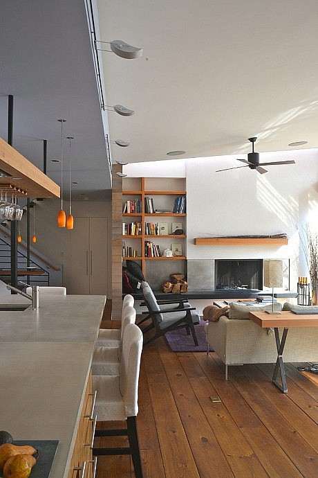 Chalon Residence by Dynerman Architects