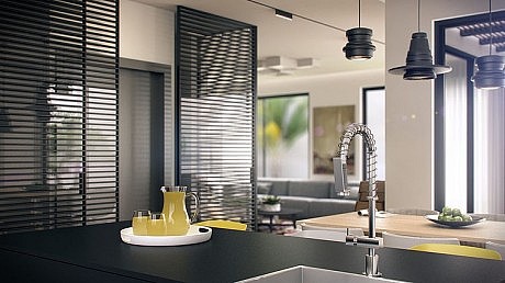 B House by Tal Goldsmith Fish