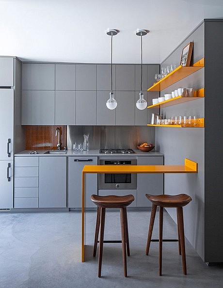 Micro Apartment by Vertebrae Architecture