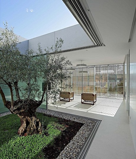 Olive House by LOG-URBIS