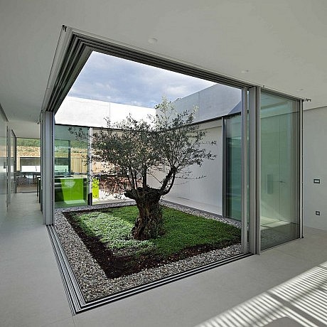 Olive House by LOG-URBIS