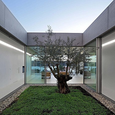 Olive House by LOG-URBIS