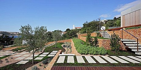 Olive House by LOG-URBIS