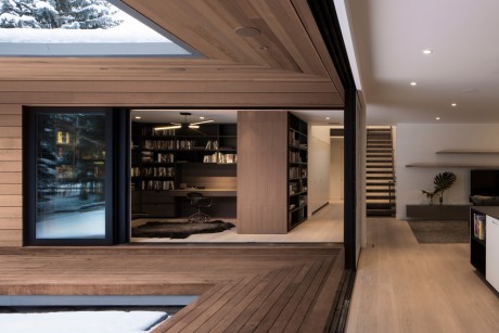 Hillsden House by Lloyd Architects - 6