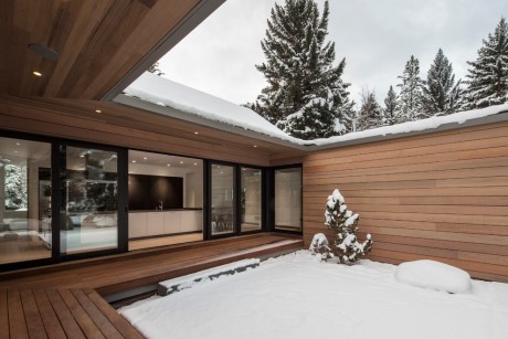 Hillsden House by Lloyd Architects - 13
