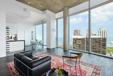 Chicago Hi-Rise by Dresner Design - 7