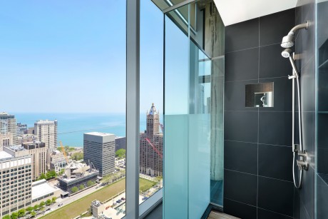 Chicago Hi-Rise by Dresner Design - 11