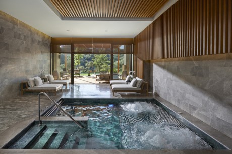 Mandarin Oriental by Antonio Citterio Patricia Viel - 7