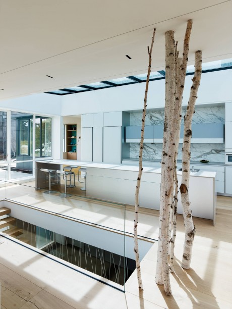 Presidio Heights by John Maniscalco Architecture - 4