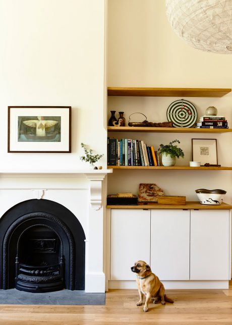 Cozy living room with fireplace, wooden shelves, and a dog relaxing on the floor.