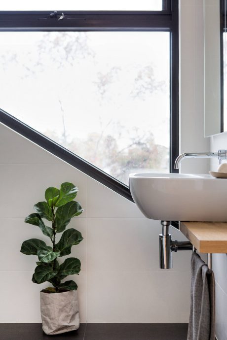 Minimalist bathroom with large window, vessel sink, and potted plant.