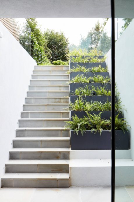 Concrete stairs leading to a modern vertical garden with lush greenery against glass walls.