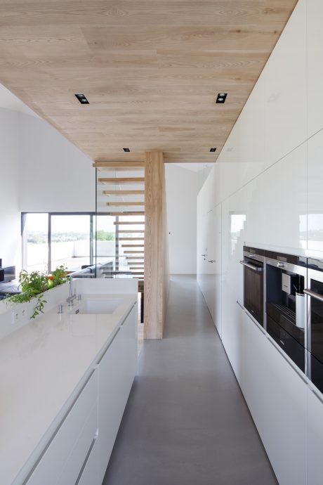 A modern kitchen with a wood-paneled ceiling, minimalist cabinetry, and large windows.