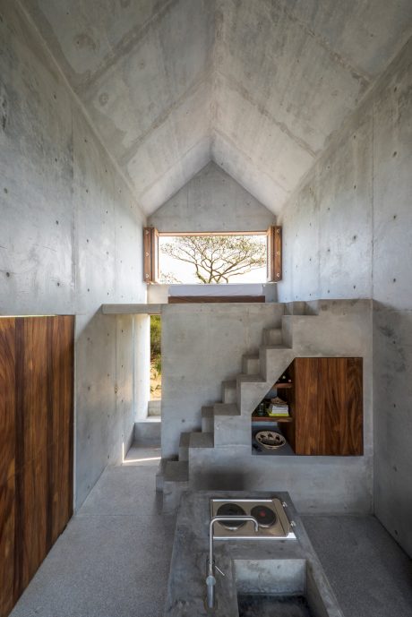 Concrete interior with wood accents, geometric stairs, and a framed view of a tree.
