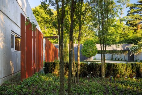 A well-designed outdoor garden space with concrete walls, lush foliage, and a wooden fence.