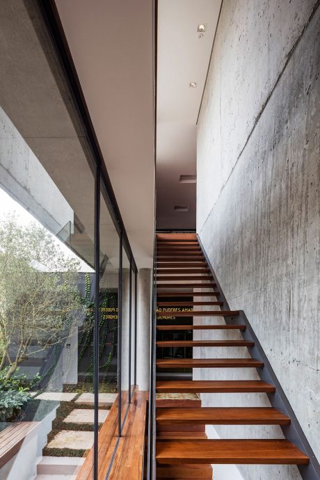 Concrete stairs with wood treads lead to a glass-enclosed walkway overlooking greenery.