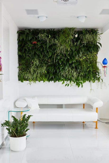 A vibrant, nature-infused living wall with lush greenery complements the minimal, modern decor.