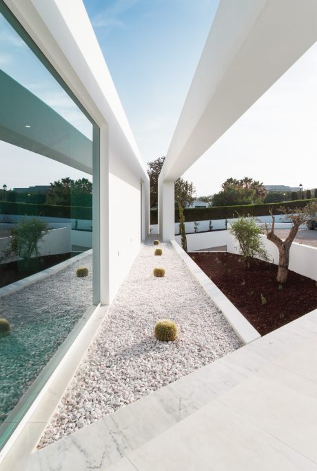 Sleek, minimalist architecture with a serene outdoor pathway featuring white stones and lush greenery.