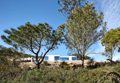 A modern, minimalist house nestled among the lush, natural landscape with towering pines.