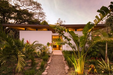 A modern tropical home with a lush garden path leading to the entrance and warm lighting.
