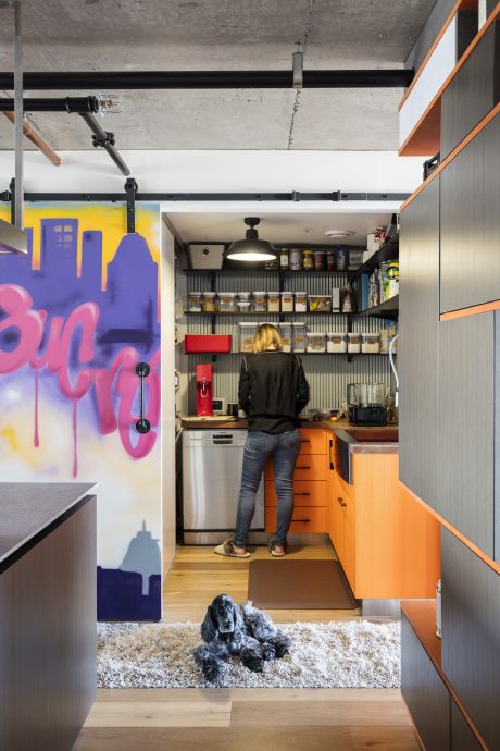 Eclectic kitchen design with vibrant wall art, open shelving, and a cozy pet nook.
