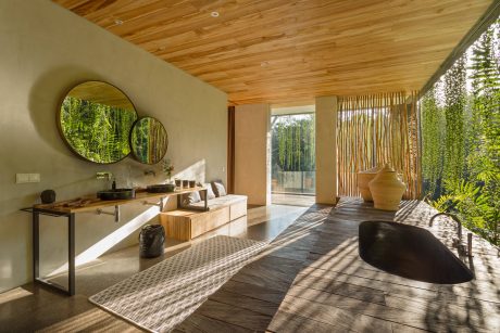 Warm, natural interior with wood ceiling, large windows, and minimalist furnishings.