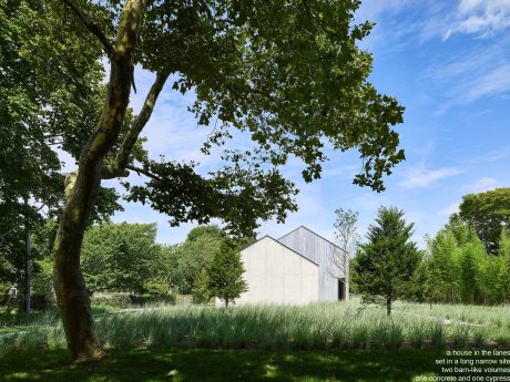 A modern, two-volume house set in a lush, green landscape with a tree in the foreground.