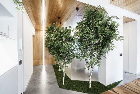 A modern, natural-inspired interior with lush foliage, wood paneling, and a grassy floor.