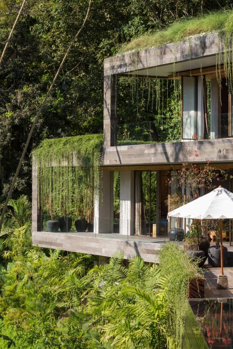 A modern, glass-walled pavilion nestled in lush, verdant foliage, with a covered outdoor seating area.