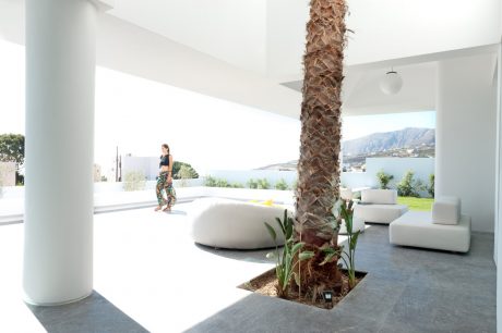 Minimalist, open-concept space with a tall palm tree, contemporary furnishings, and a scenic view.
