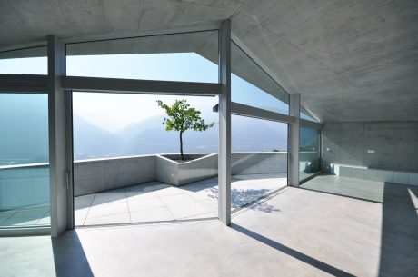 A modern, minimalist interior with glass walls, concrete ceiling, and a lone tree in a planter.