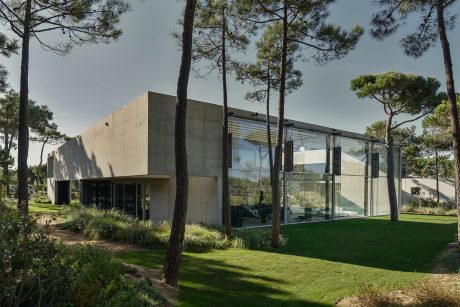 A modern, concrete and glass structure surrounded by lush pine trees and greenery.