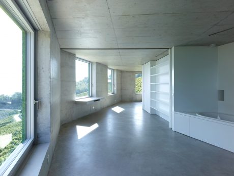 Minimalist concrete architecture with expansive windows overlooking greenery.