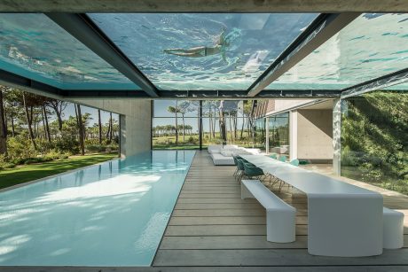 Sleek, minimalist indoor pool with glass walls, wooden deck, and lush outdoor views.