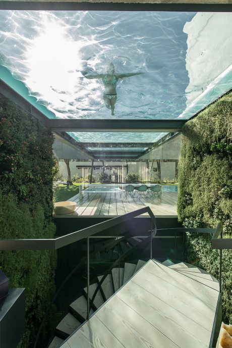 A tranquil indoor pool with a glass ceiling showcasing a swimmer, surrounded by lush greenery.