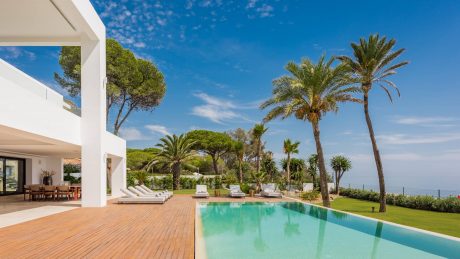 Lush, landscaped pool area with modern white villa and Mediterranean-style palms.