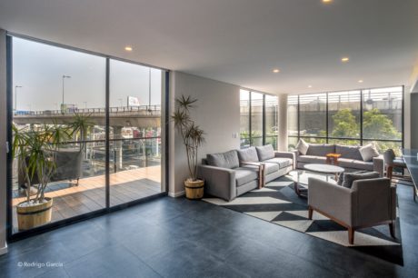 Spacious modern living space with large windows, gray furniture, and potted plants.