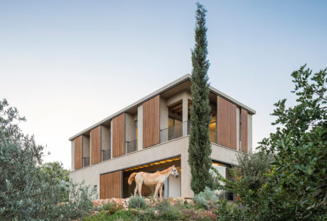 A modern wooden-clad home with a tall vertical element and a horse visible inside.