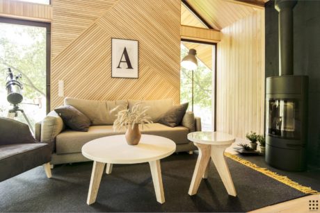 Cozy cabin-like interior with wooden walls, plush furnishings, and modern accents.